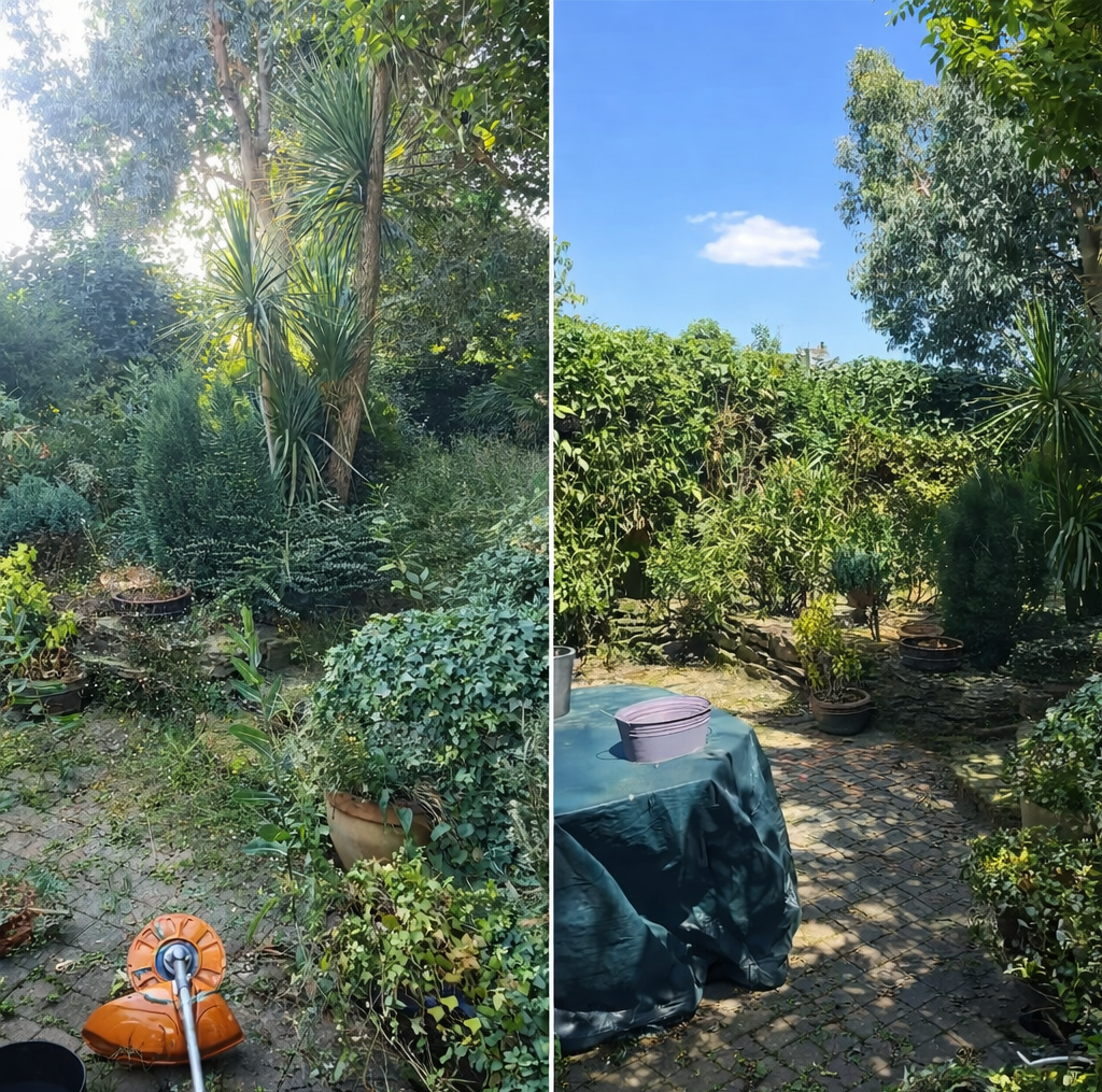 Transformation complète d'un jardin - Avant et après