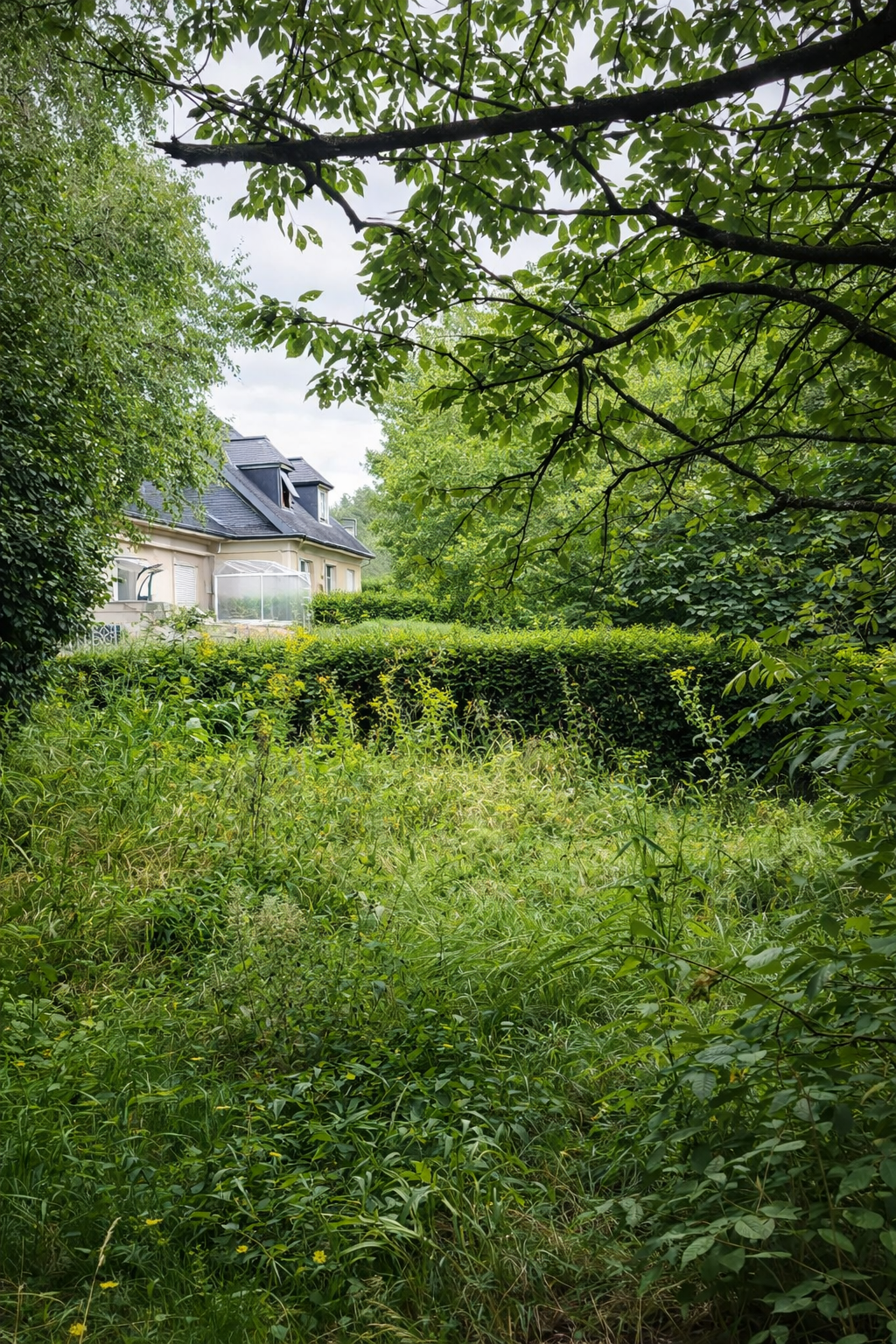 Désherbage de massifs et allées