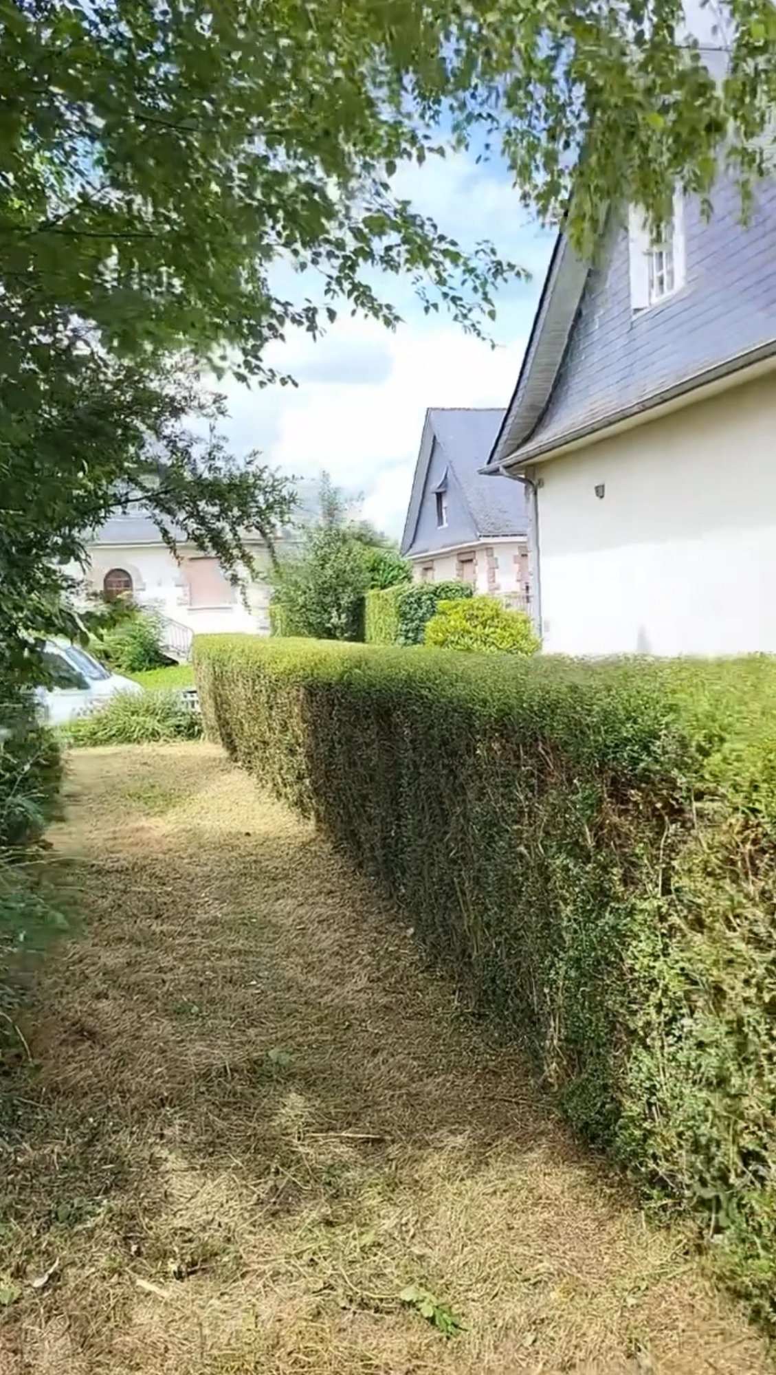 Nettoyage automnal complet